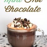The Best Mint Hot Chocolate Recipe Ever