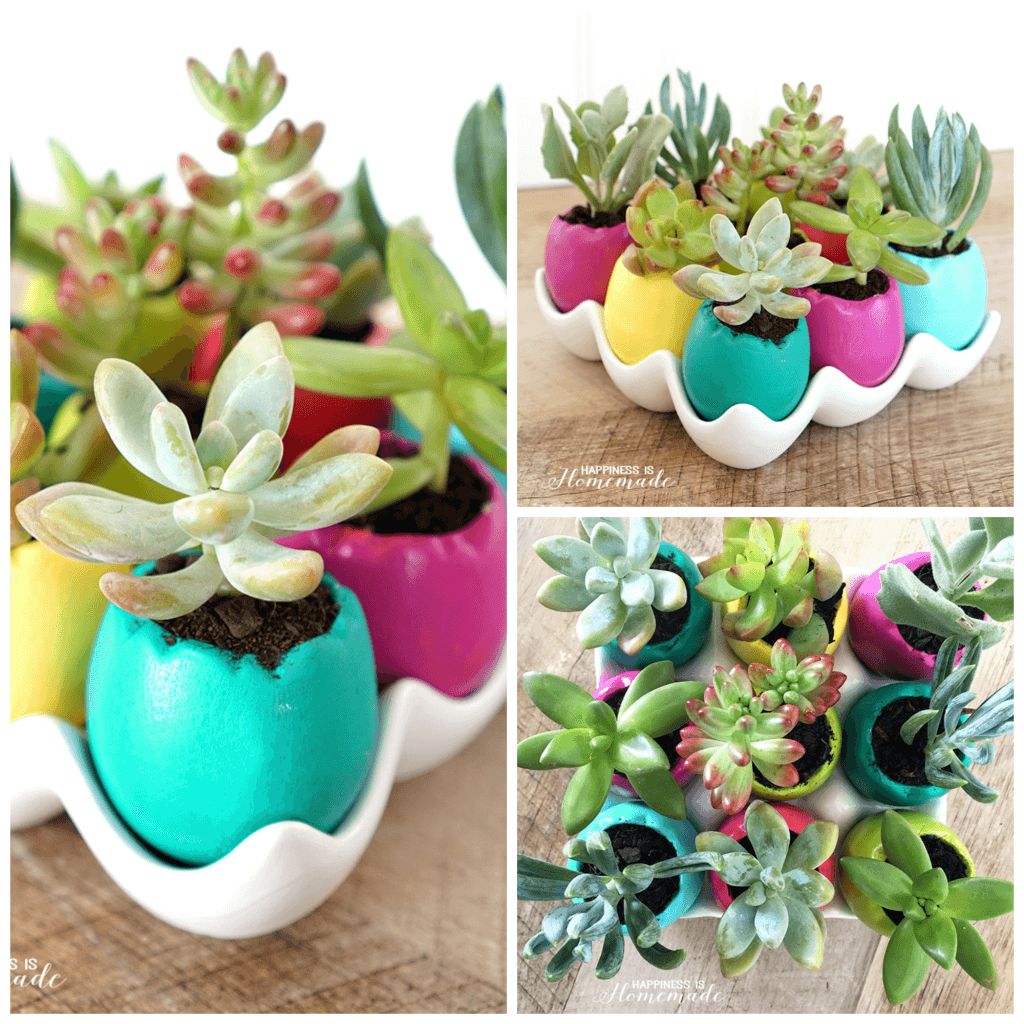 Easter Egg Succulent Planters - Happiness is Homemade
