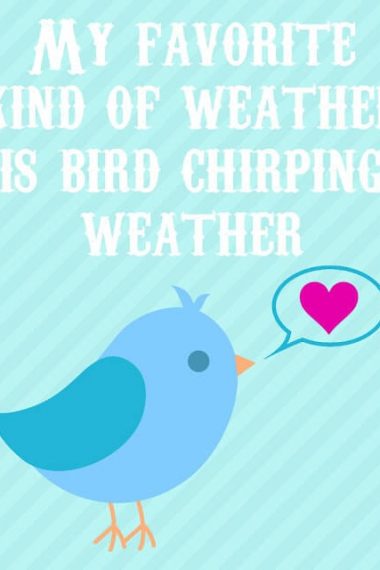 my favorite kind of weather is bird chirping weather graphic