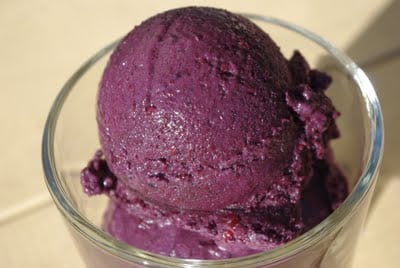 homemade blackberry sorbet treat