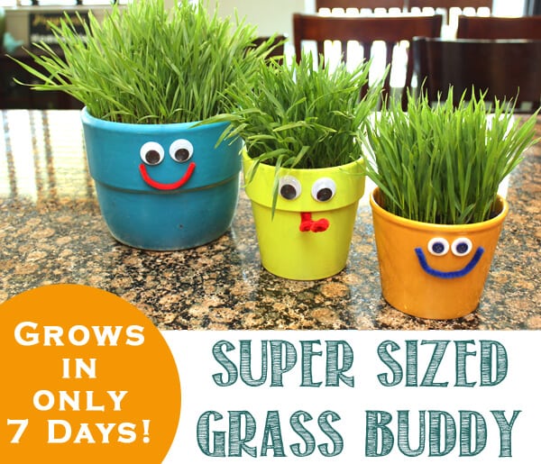 Jumbo Super Sized Grass Buddy