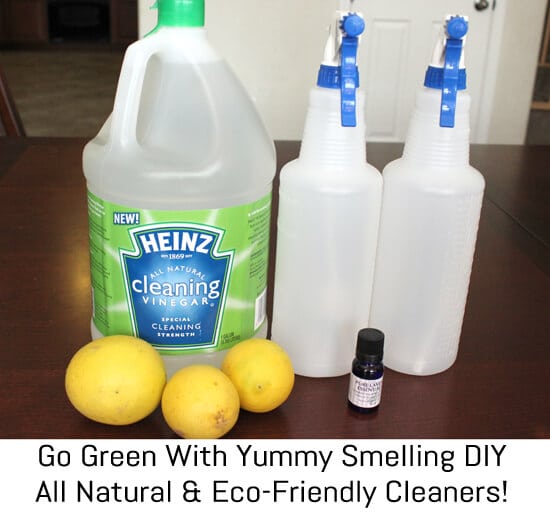 Go Green! Eco-Friendly Cleaning With Heinz Cleaning Vinegar