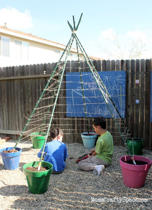 How to Build a Green Bean Tepee