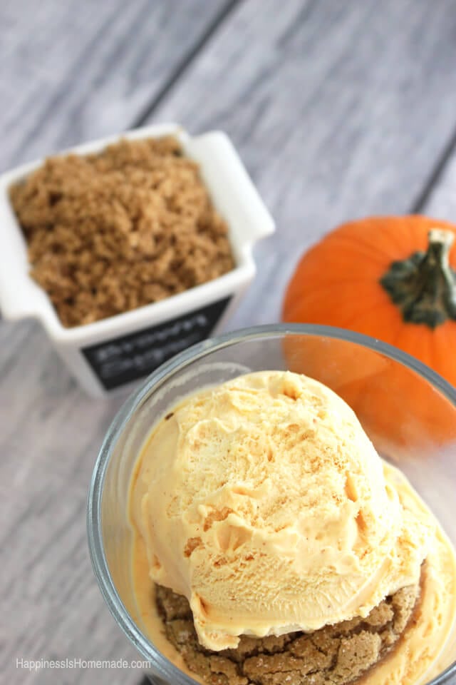 dreyer\'s pumpkin patch ice cream with shaved almonds 