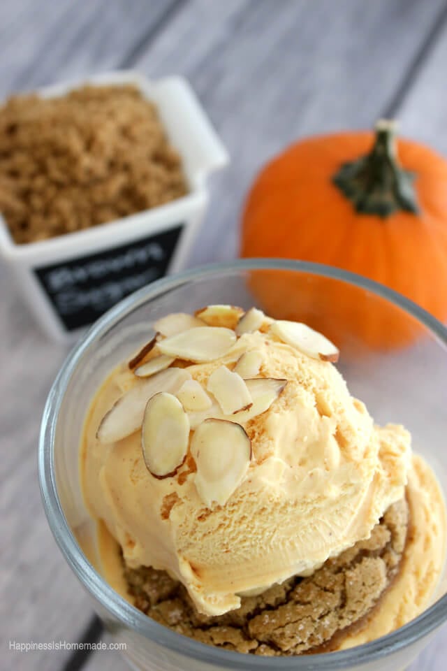 dreyer's pumpkin patch ice cream with shaved almonds 
