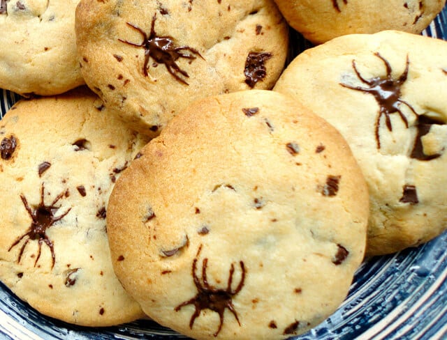 fun halloween spider cookies