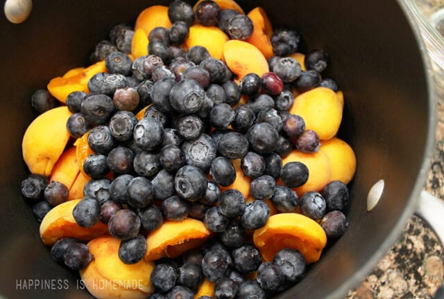 Blueberries and Apricots