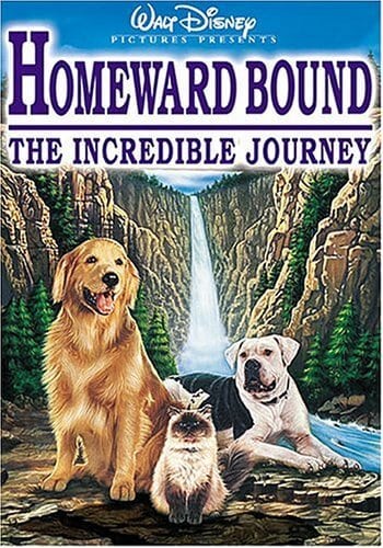Homeward Bound - the Incredible Journey
