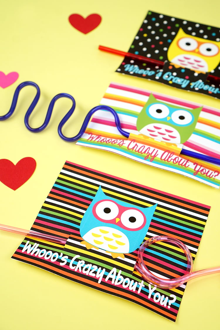 Owl + Crazy Straw Valentines Cards - Happiness is Homemade