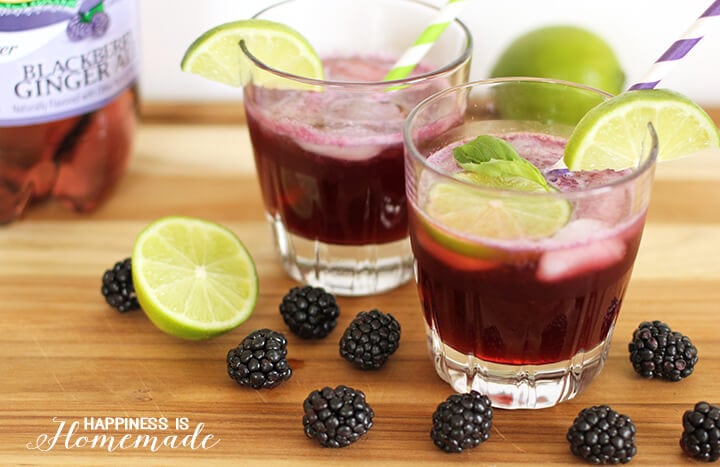 Blackberry + Lime Fizz Cocktail