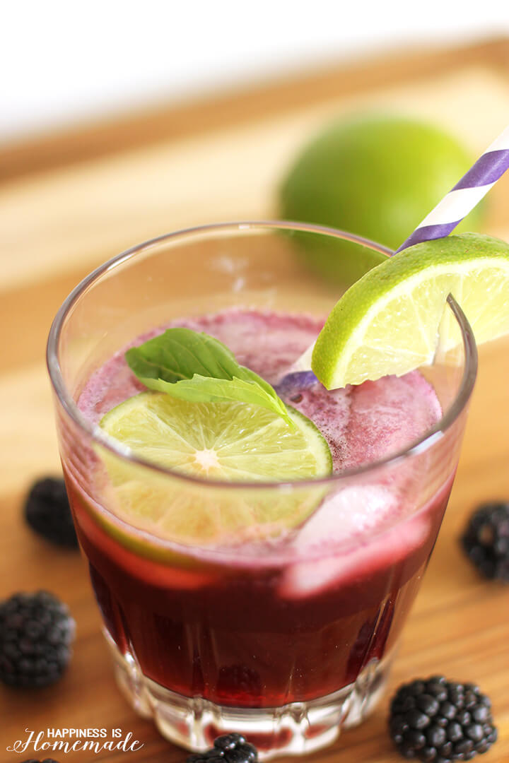 Blackberry Lime Vodka Fizz