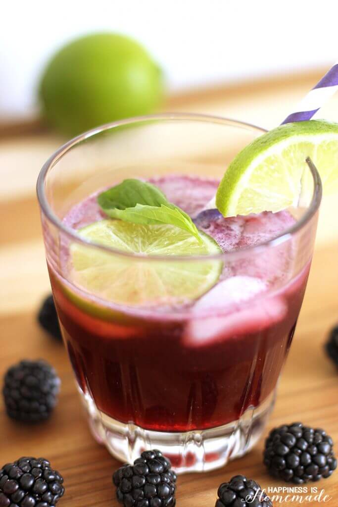 Blackberry and Lime Fizz Cocktail Recipe