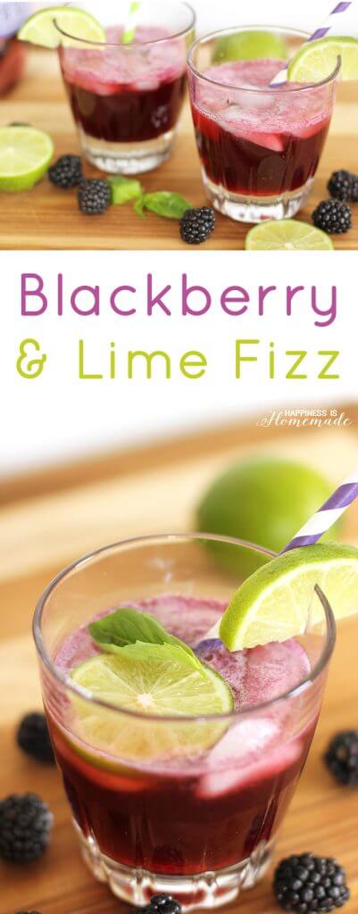 Blackberry and Lime Fizz Spring Cocktail Recipe