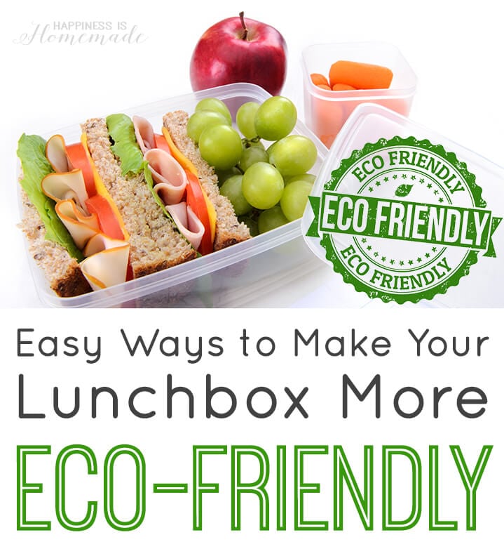 Easy Ways to Make Your Lunchbox More Eco-Friendly