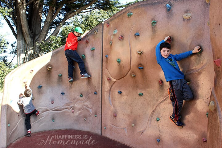 Rock Climbing Wall