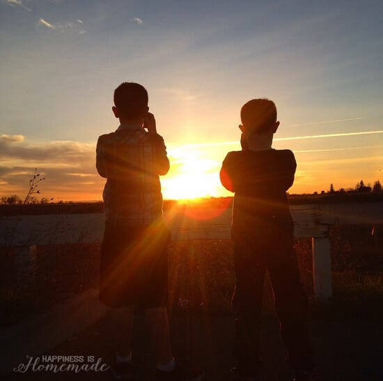 two small boys enjoying the sunset