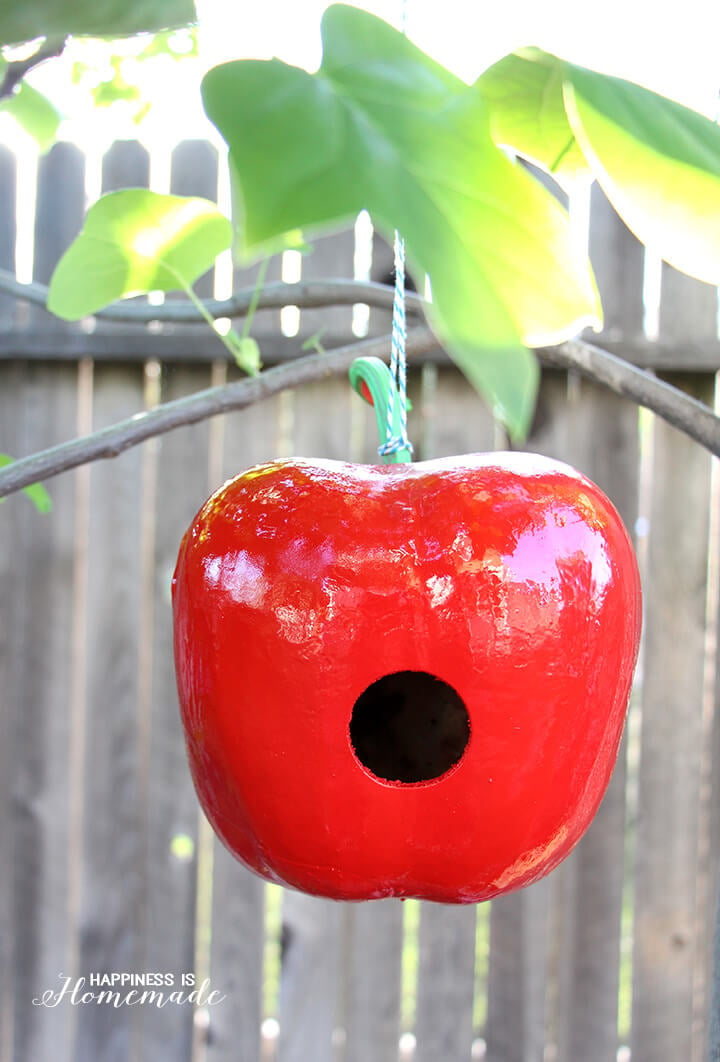 Apple Birdhouse from a Dried Gourd