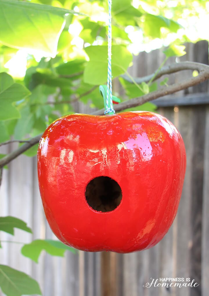 Apple Shaped Gourd Birdhouse