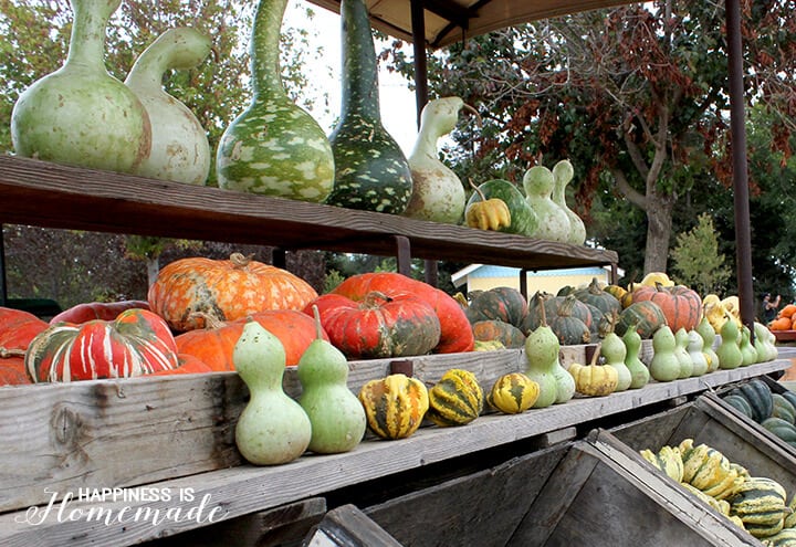 Green Gourds and other vegetables in a market display