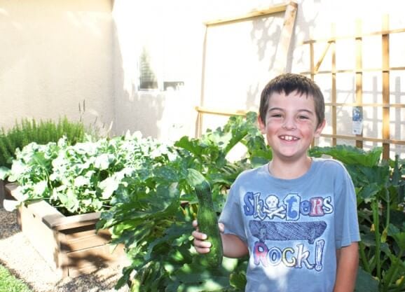 child smiling inside of garden harvesting zucchini vegetable