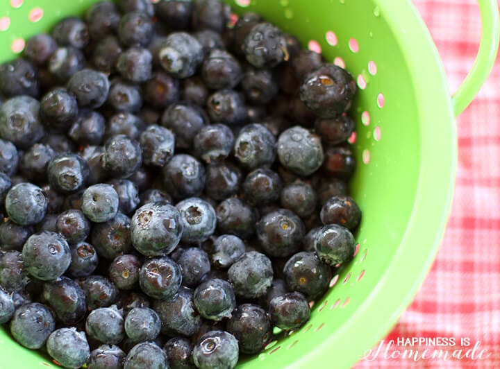 Garden Fresh Blueberries