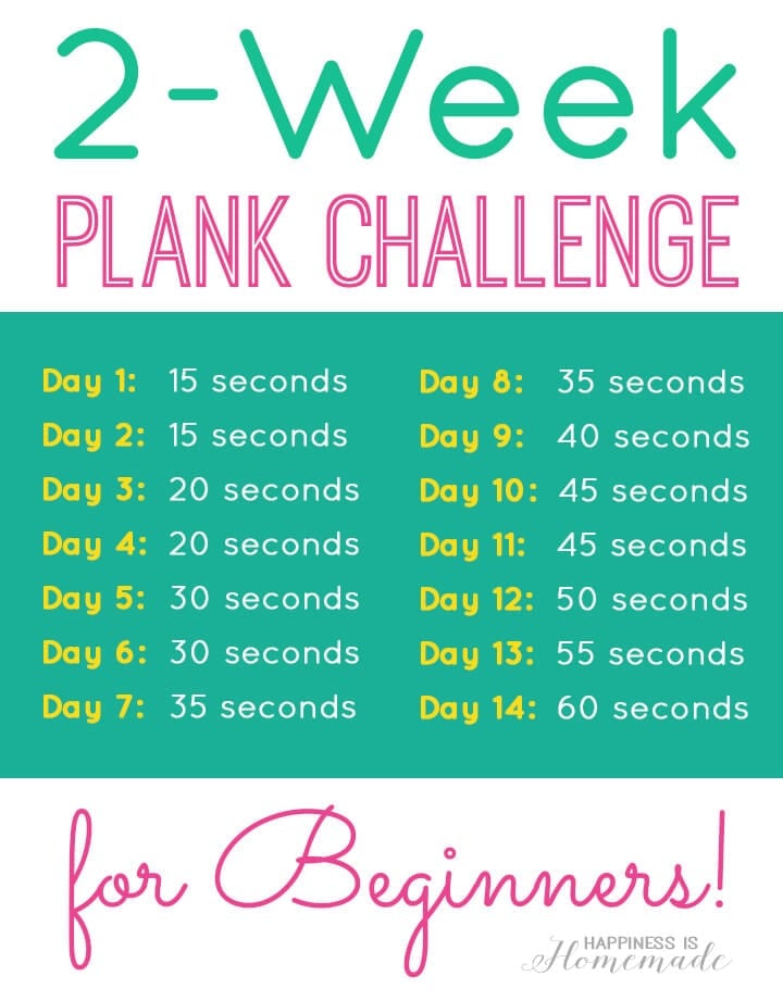 2 Week Plank Fitness Challenge for Beginners
