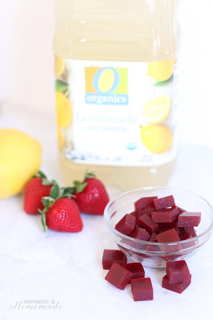 Healthy Organic Gummy Fruit Snacks Recipe