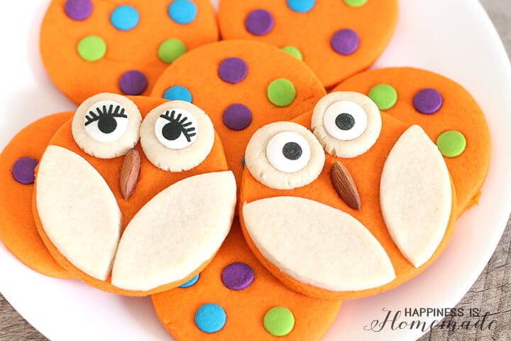 Adorable Owl Cookies