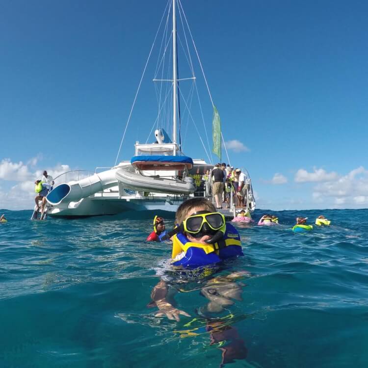 Snorkeling - Jasmine Risso