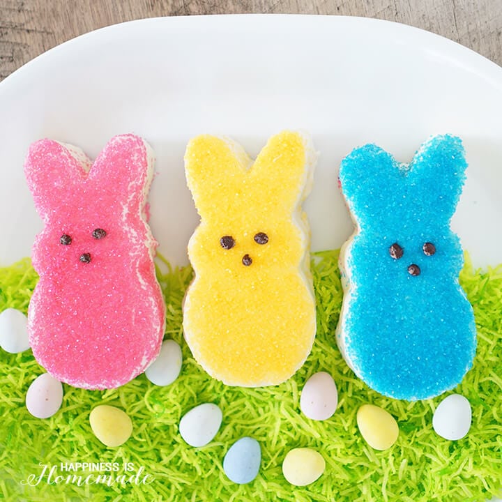 Easy Easter Bunny Cakes