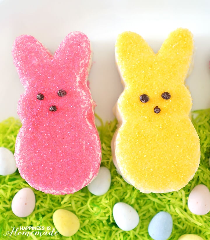 Mini Easter Bunny Cakes