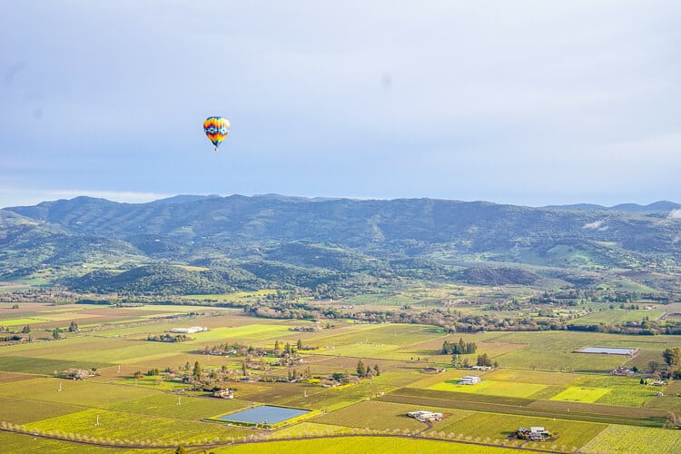 hot air balloon flying over napa valley