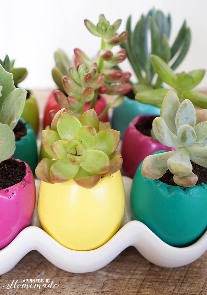 Easter Egg Succulent Planters Happiness is Homemade