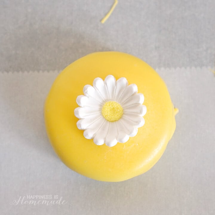 Candy Dipped Oreo Cookies with Flowers for Spring and Easter