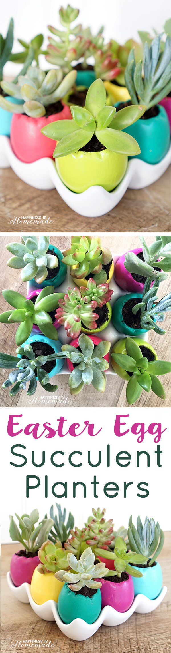 Colorful Ceramic Easter Egg Shell Succulent Planters for Spring