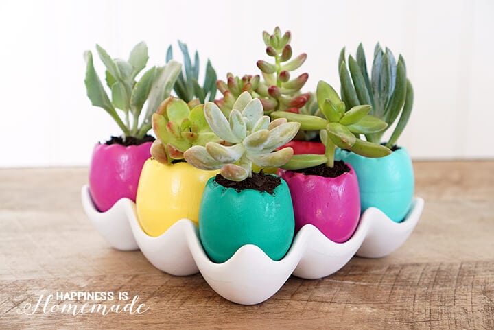 easter egg succulent planters