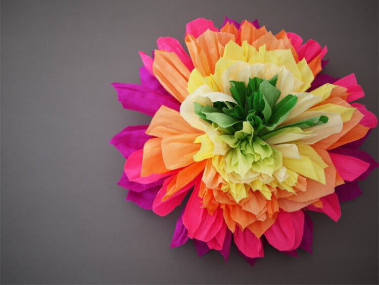 Crepe Paper Flowers