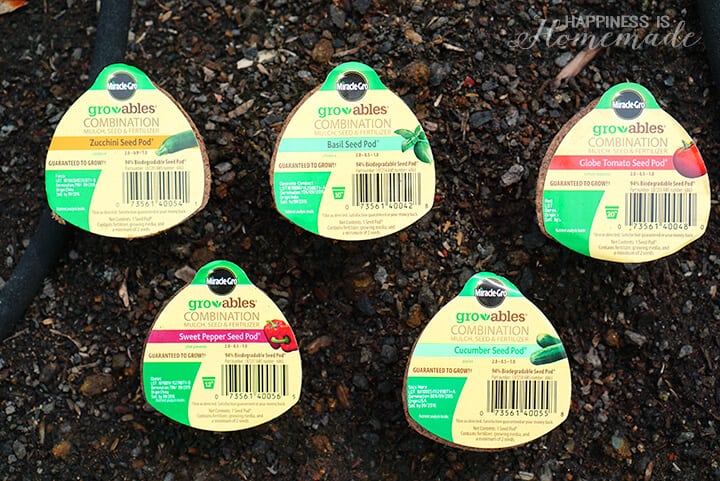 Indoor Plant Food Spikes Miracle Gro Canada