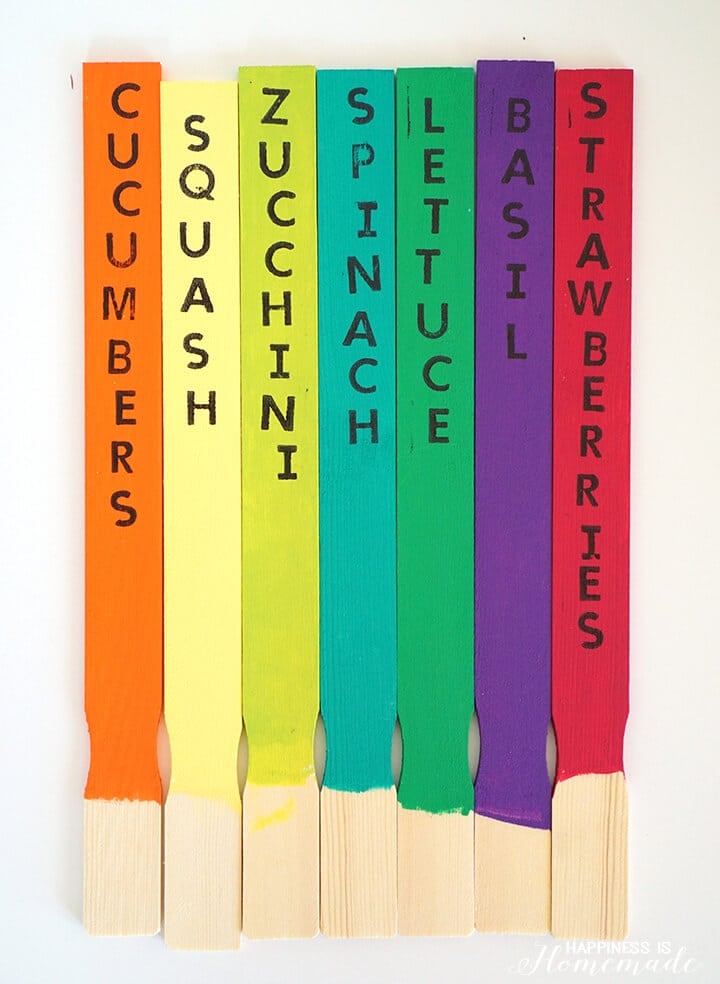 paint sticks painted with rainbow colors and vegetable names