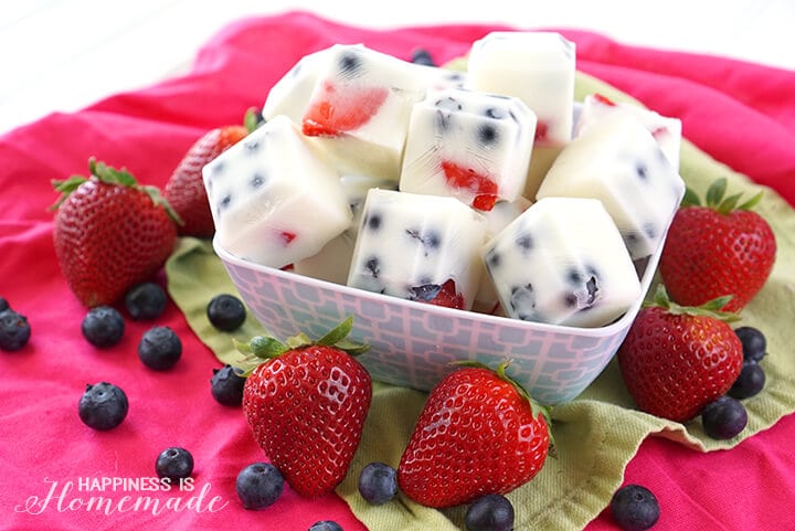 frozen yogurt berry bites in container with fresh fruit