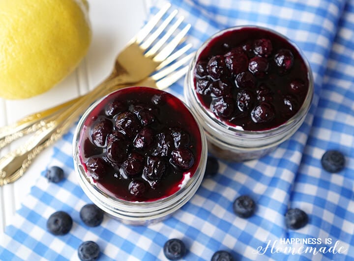 No Bake Blueberry Cheesecake Jars are Perfect for Picnics