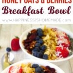 honey oats and berries healthy breakfast bowl