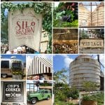 Silobration at the Silos at Magnolia Market waco, tx