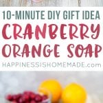 10 minute diy gift idea cranberry orange soap