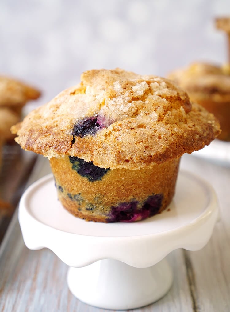 the best blueberry muffins on plate