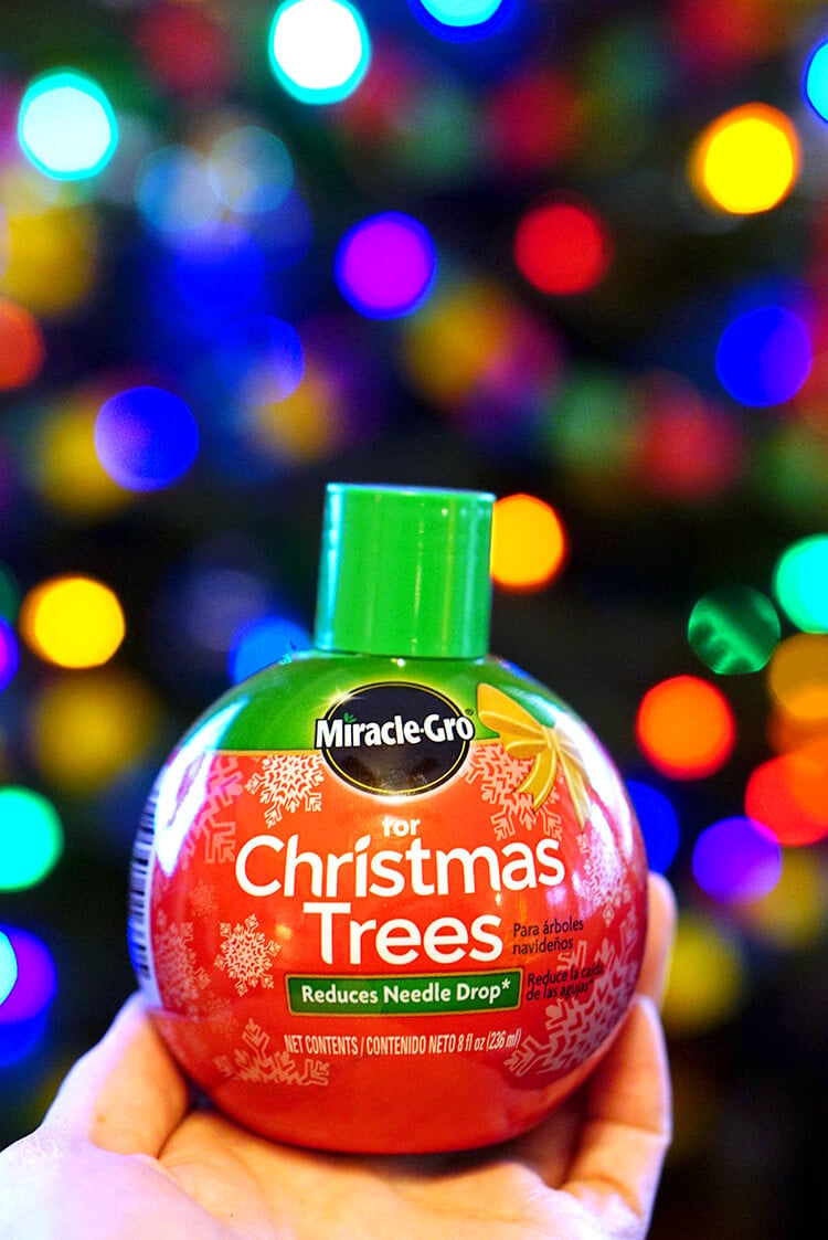 miracle gro for christmas trees