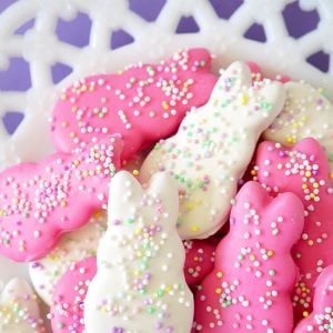 cute circus animal themed cookies