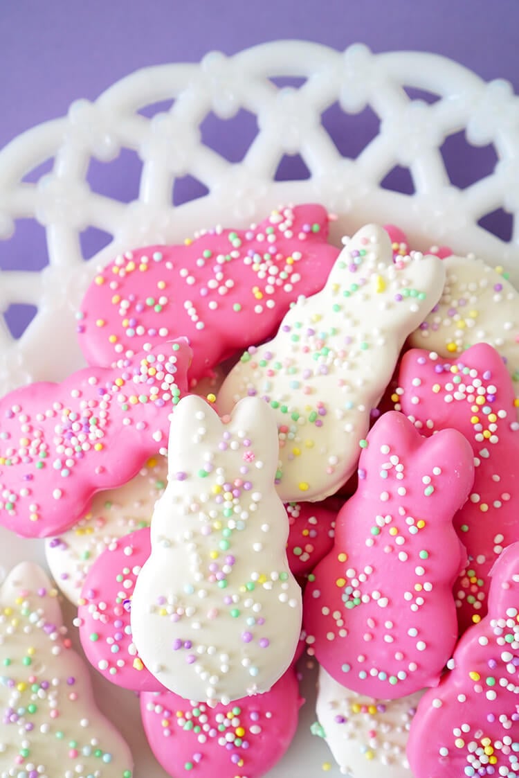 Easter Bunny Circus Animal Cookies