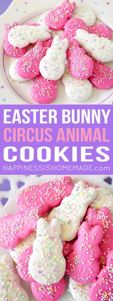 easter bunny circus animal cookie recipe