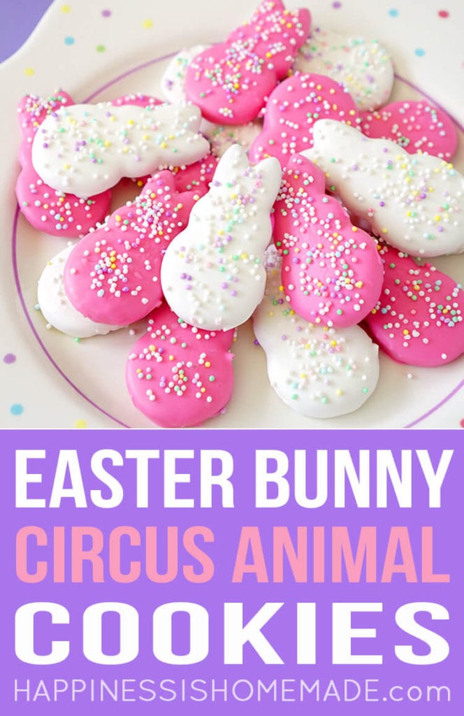 easter bunny circus animal cookies